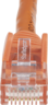 Miniatuurafbeelding van Patch Cable RJ45 U/UTP Cat6 1m Orange