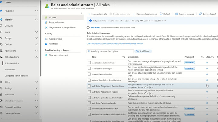priviledge_roles_and_permissions_microsoft_entra_id.jpg