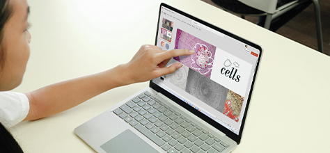 A person is using the touchscreen of a Microsoft Surface Laptop 13" and editing a presentation featuring creative designs and graphics.