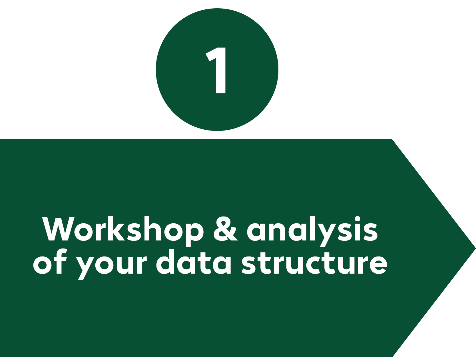 Data Analysis Process Step 1