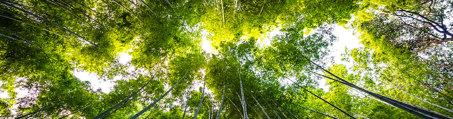 Sustainability Q126 Bechtle Blog Mainbanner