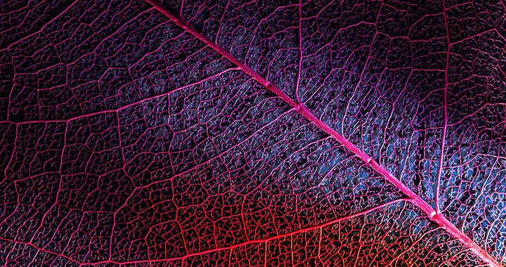 Lenovo Environmental Goals