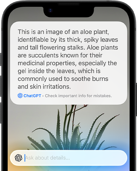 Apple Intelligence and Chat GPT