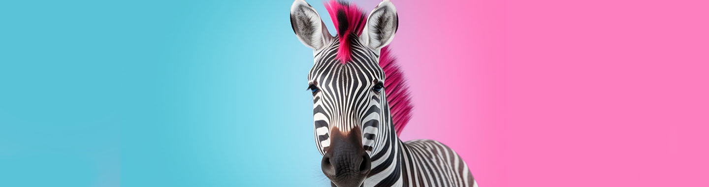 Zebra Banner
