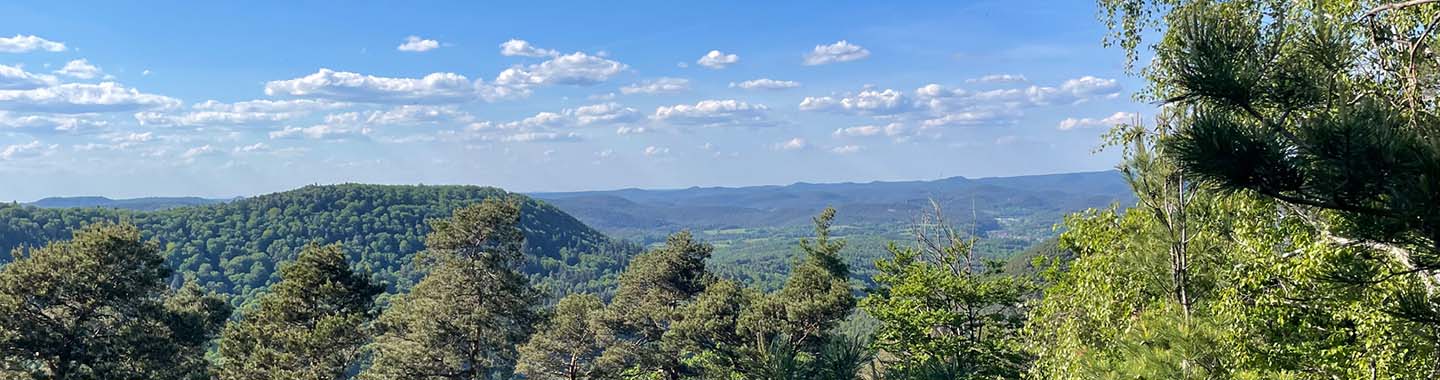 Blauer Himmel und Natur