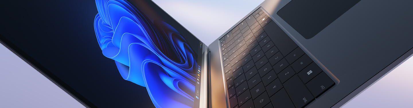 Microsoft Windows 11 Pro with two business devices
