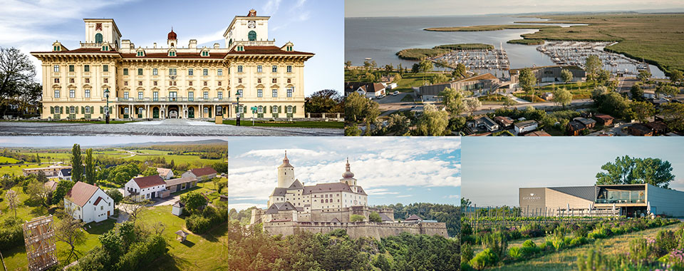 Esterhazy