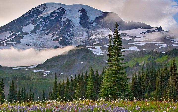 HP Planet Partners Recycling