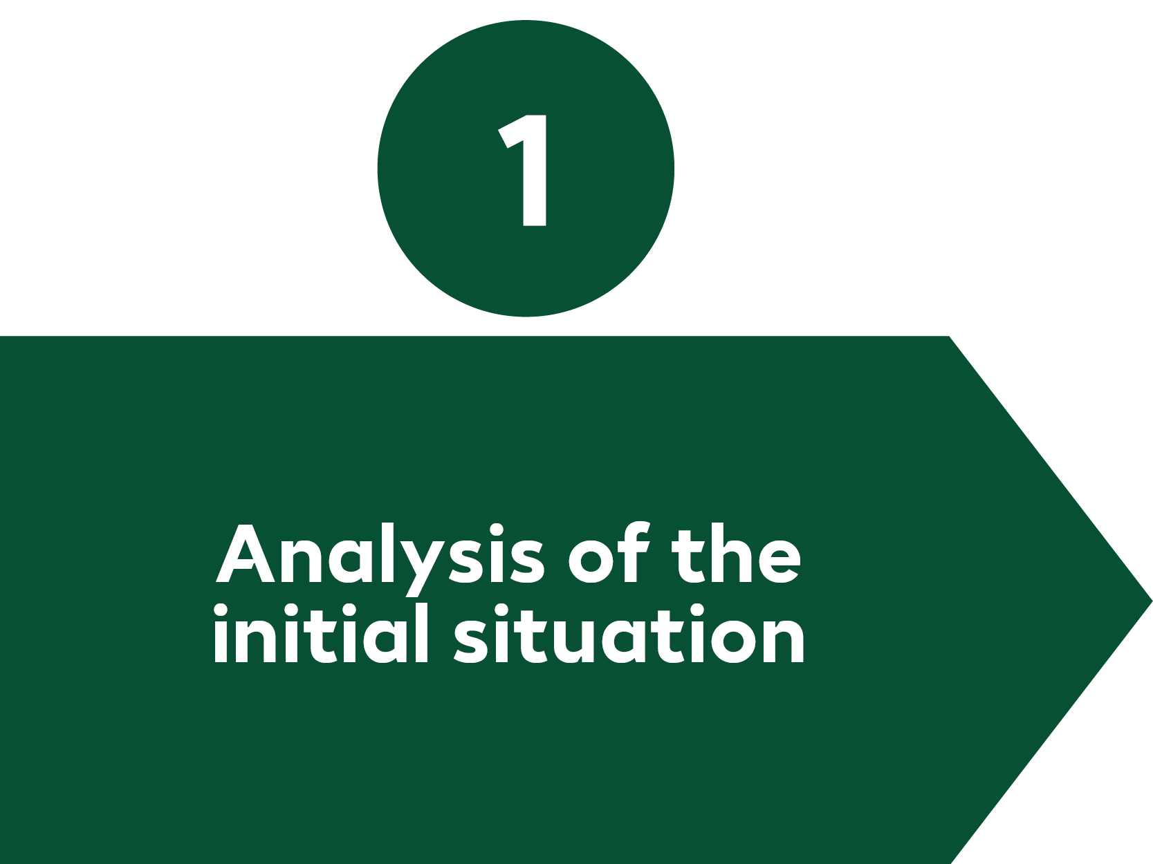 Data Strategy Process Step 1