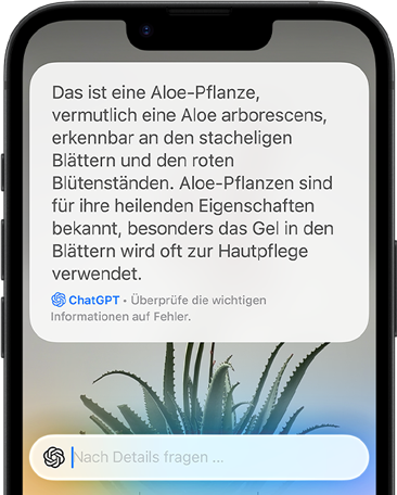 Apple Intelligence und Chat GPT