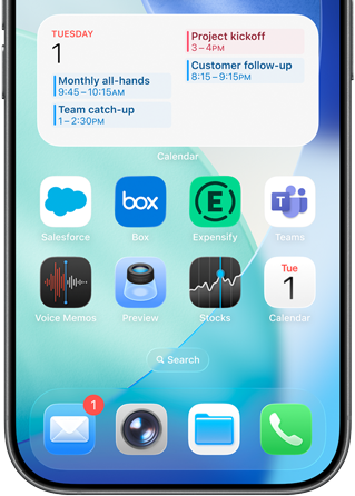 Apple iPhone einfache Einstellungen