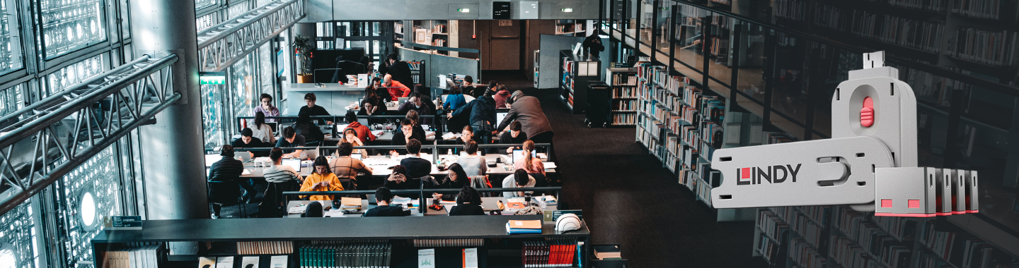 Studierende arbeiten konzentriert an Tischen in einer modernen Bibliothek mit Bücherregalen und großen Fenstern