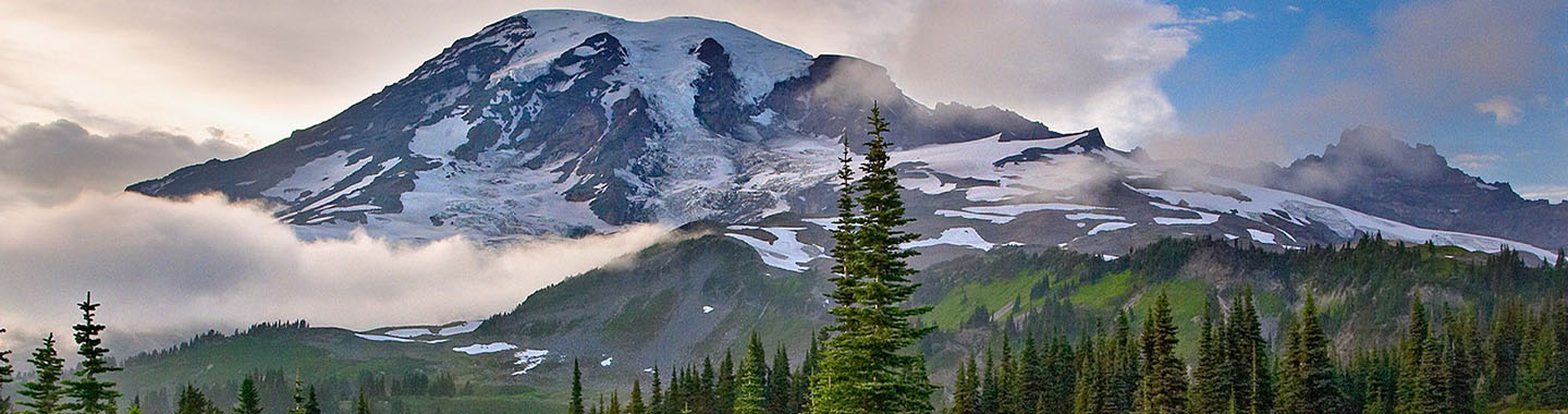 HP Planet Partners Recycling