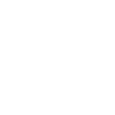 Network Icon