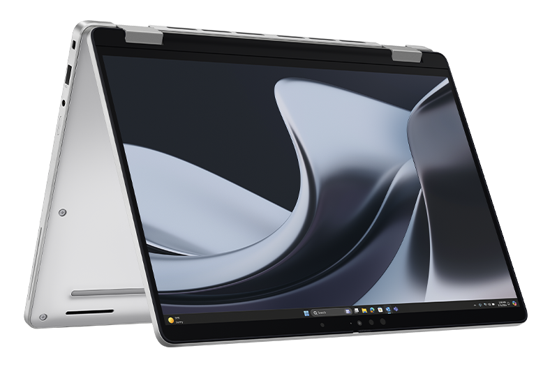 Dell Pro Plus Notebooks Display