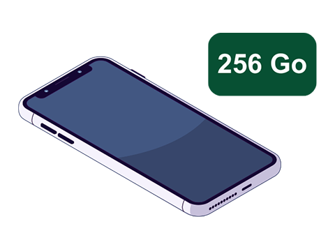 DaaS Mobile 256 Go