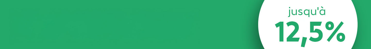 Sale Banner Green FR