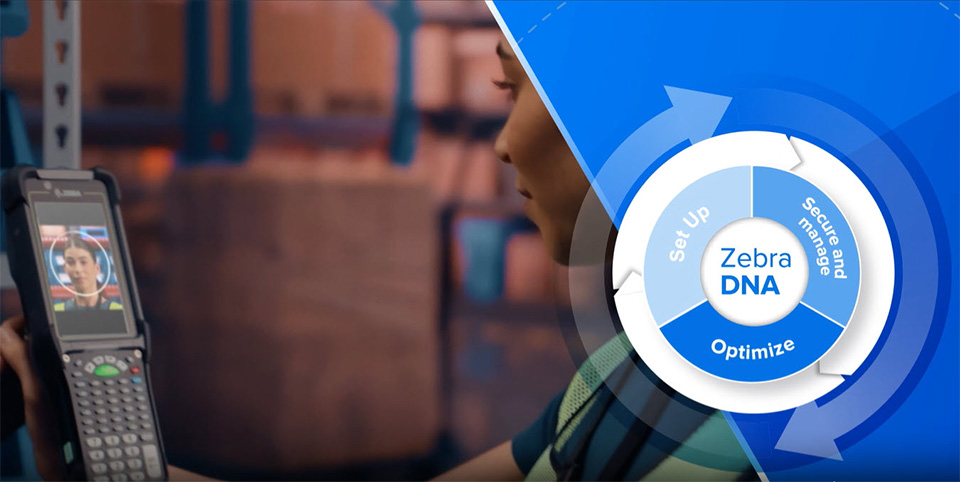 zebra dna banner