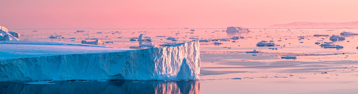 Ein Blick auf die Eisberge vor Grönland