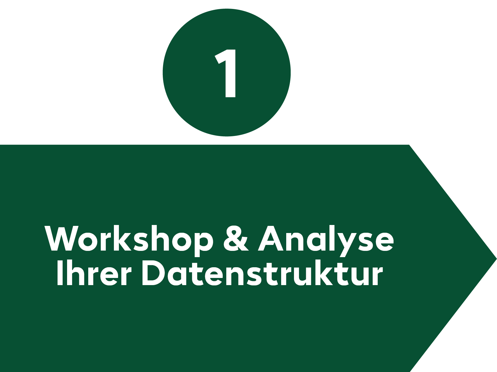 Datenanalyse Prozessschritt 1