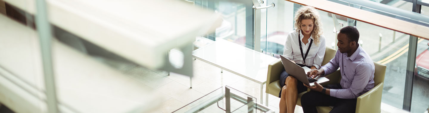 Public Sector Banner