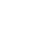 IT is our passion Icon