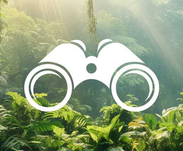 IBM License Metric Tool