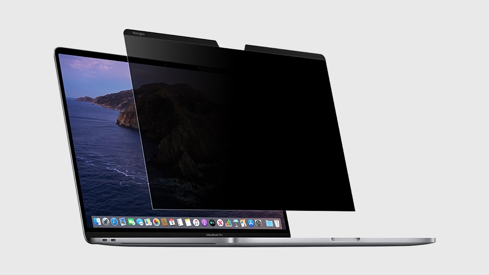 Apple privacy filters