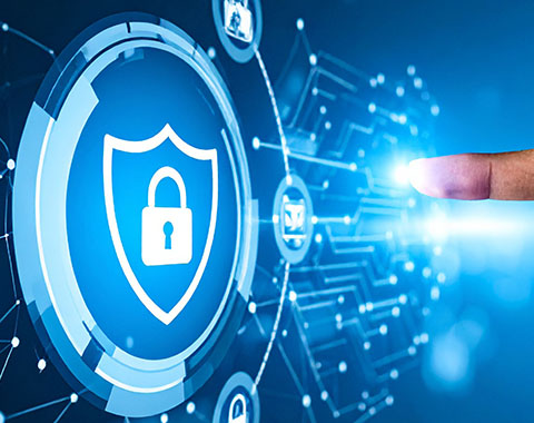 Vulnerability Assessment