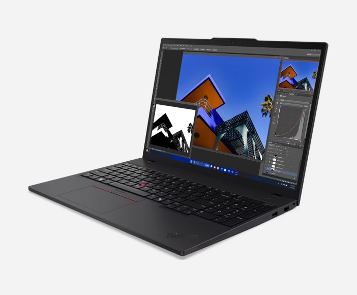 Lenovo Portfolio ThinkPads