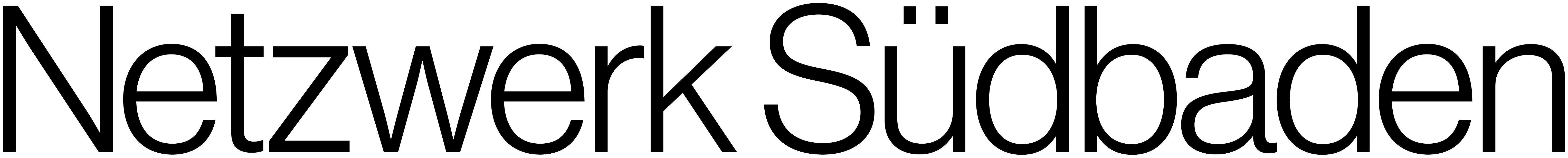 Logo Netzwerk Suedbaden