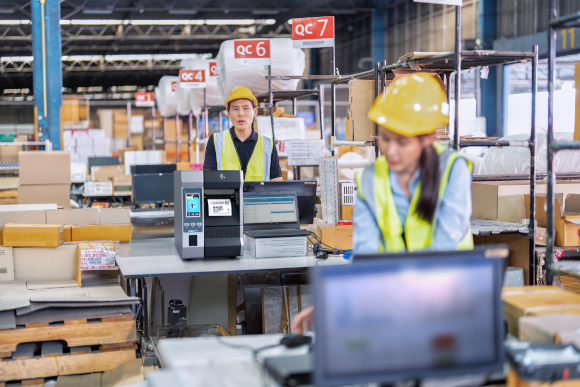 Warehouse Zebra Portugal