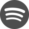 Spotify Icon 