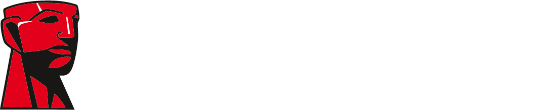 Kingston Logo white