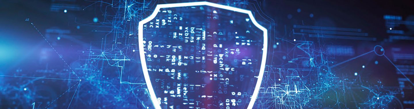 Image IBM Data Protection