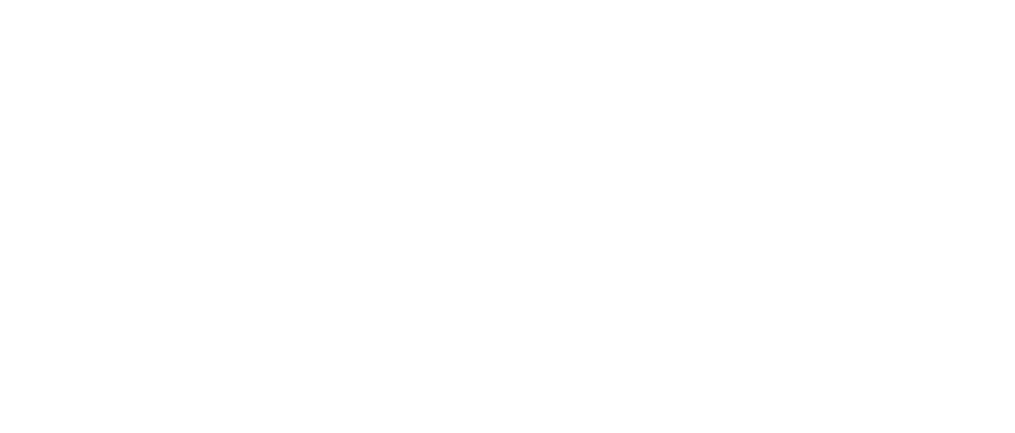 AMD RYZEN AI