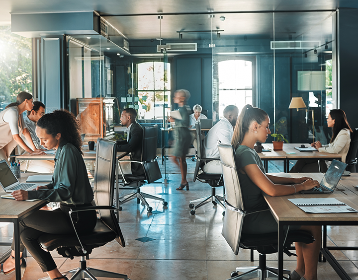 People are working in an office 