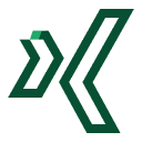Xing Icon