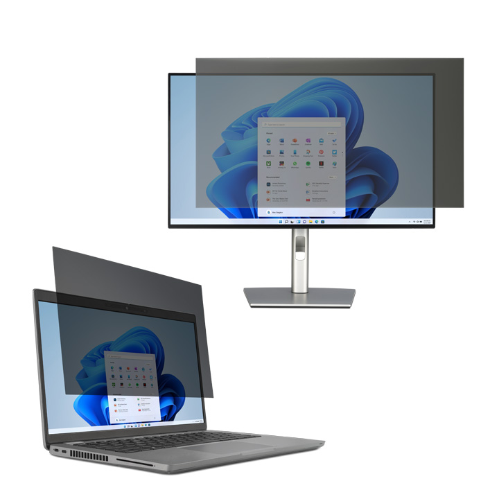 Standard Privacy Filter