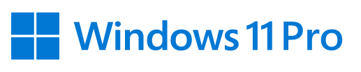Windows 11 Pro Logo