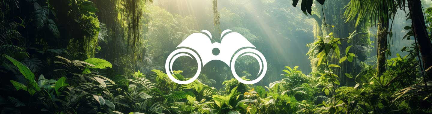 IBM License Metric Tool