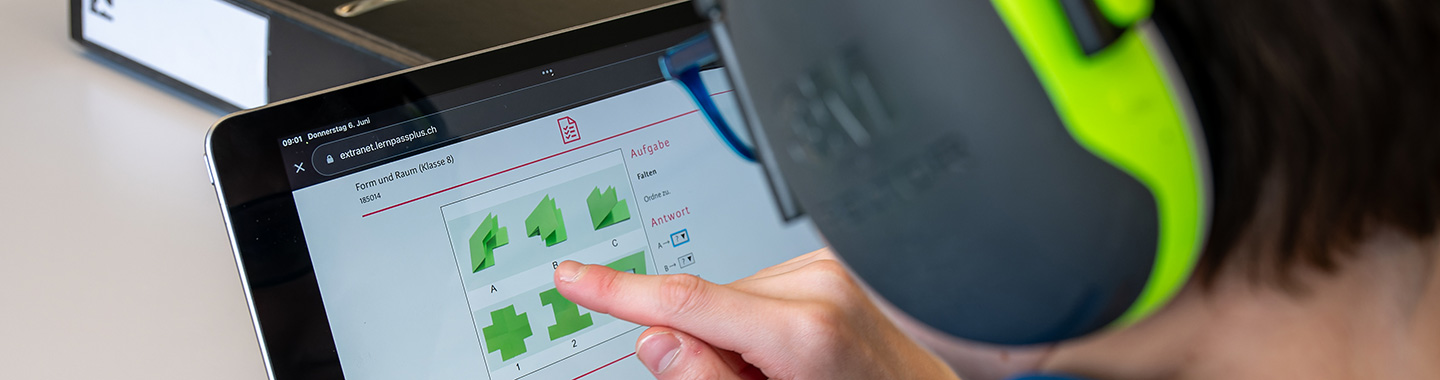 Reference Sonnenberg