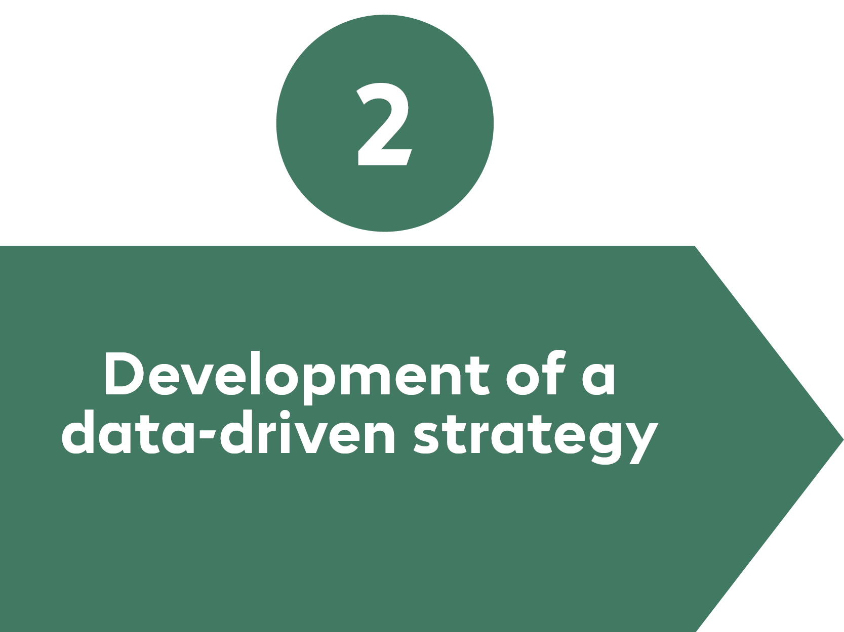 Data Analysis Process Step 2