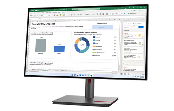 Lenovo Premium Business Monitore