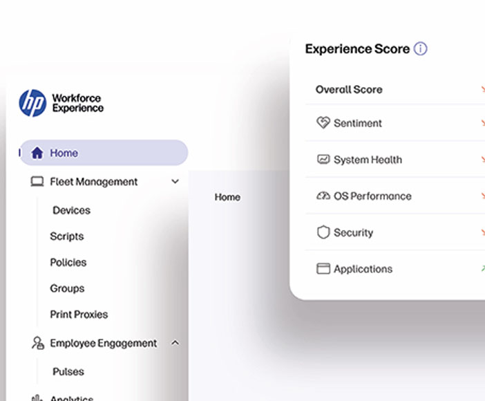 2616_Portfolio_HP-WXP_ch
