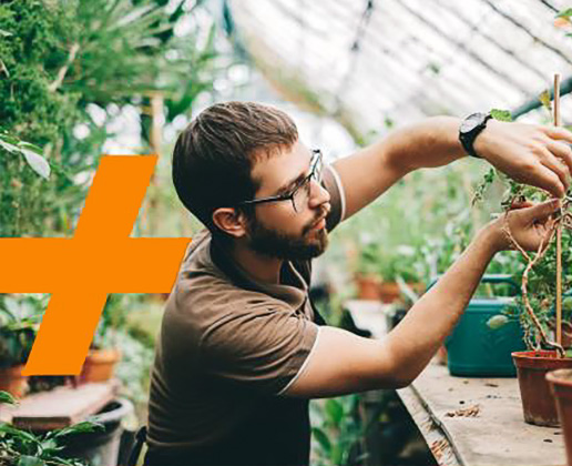 Smartes Drucken mit HP+