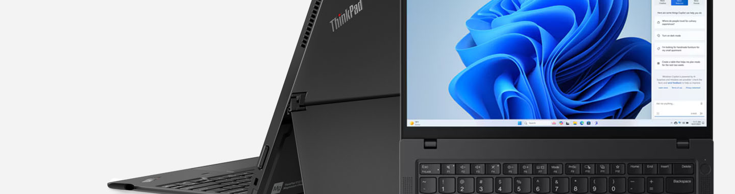 Lenovo Professional Notebooks